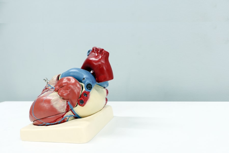 Photo congenital heart defects