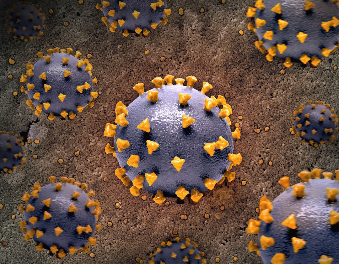 Photo herpes simplex virus