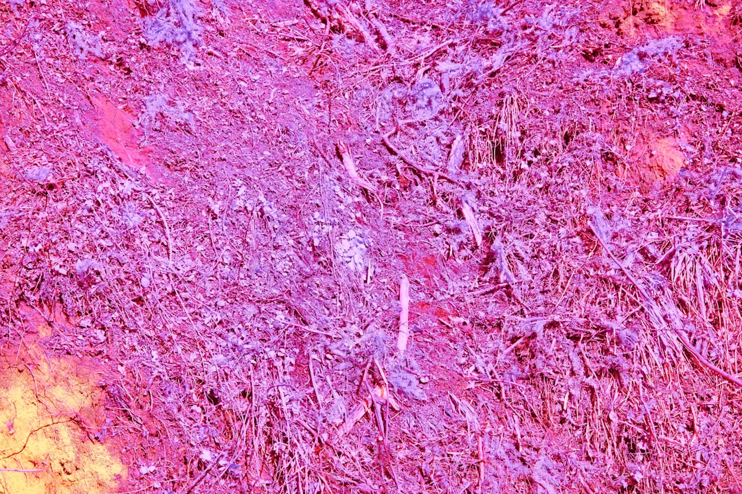 Photo colorectal cancer