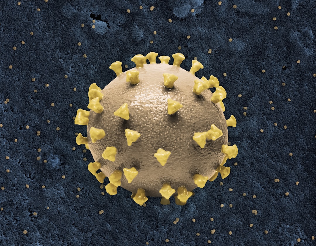 Photo herpes simplex virus
