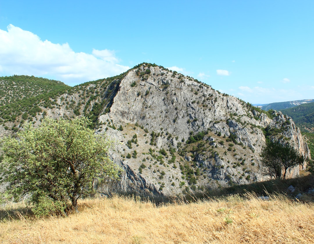 Photo ozempic