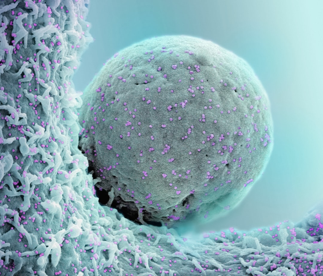 A Wilms-tumor kutatások legújabb eredményei