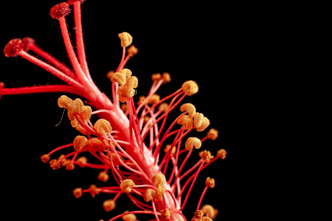 Photo colorectal cancer symptoms