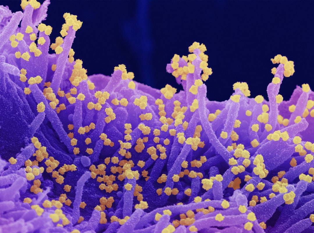 Photo herpes