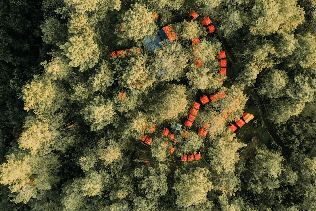 Photo karyotype analysis