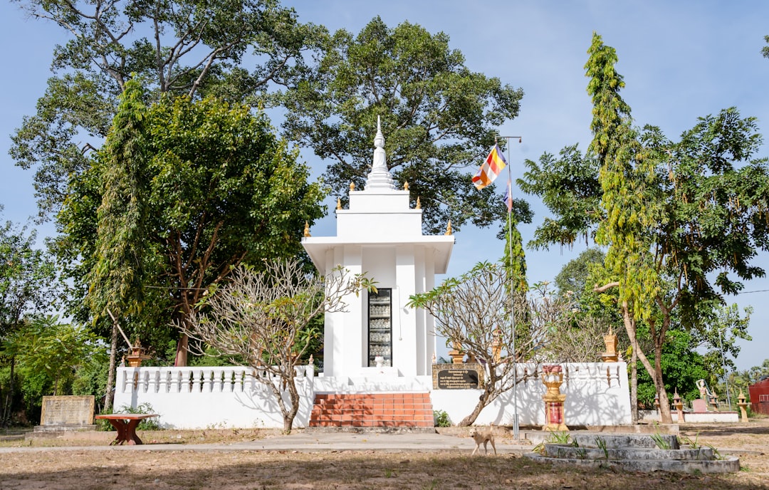 Photo hólyaghurutra
