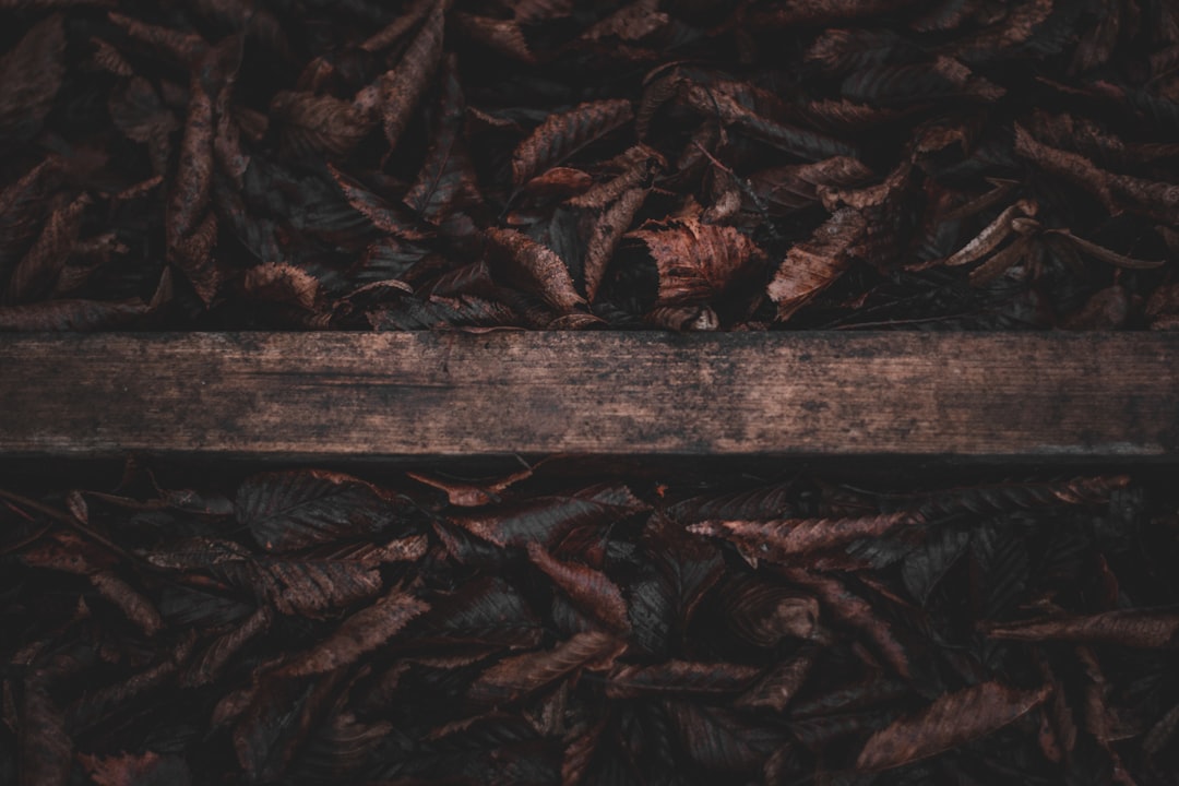 Photo l&aacute;gy&eacute;ki nyirokcsom&oacute; megnagyobbod&aacute;s