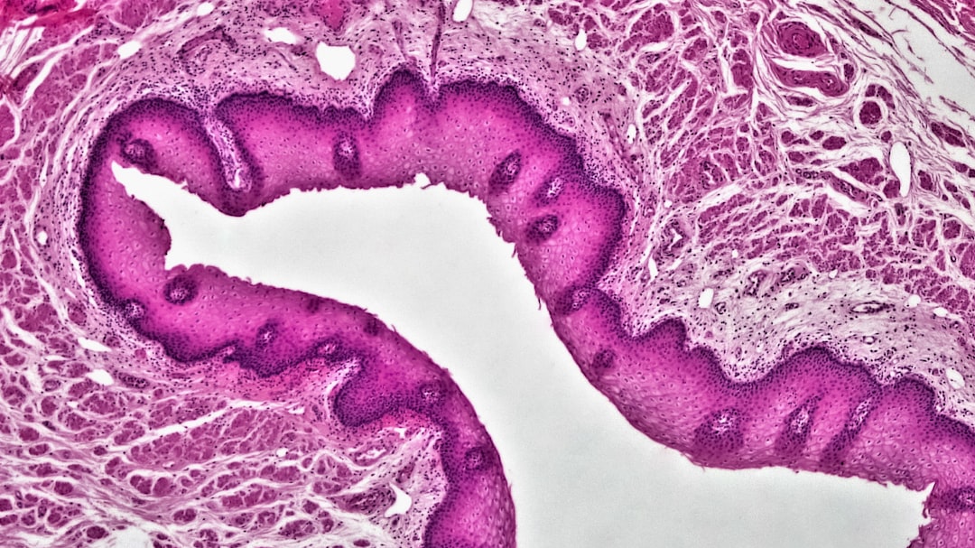 Photo histology
