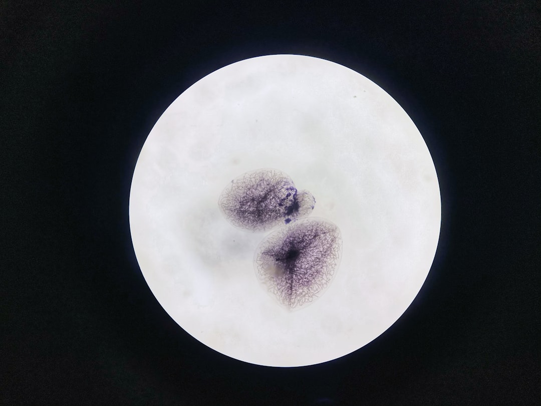 Photo Cytology results