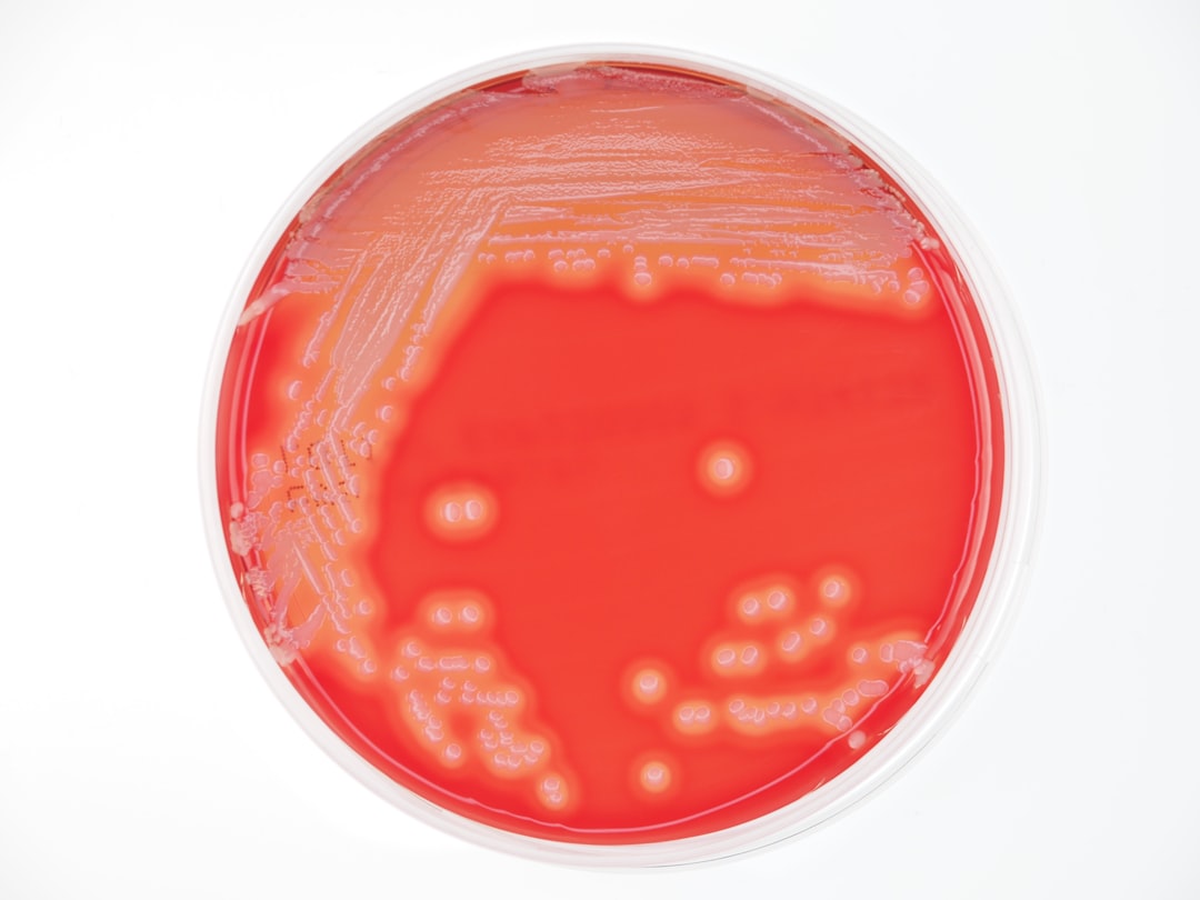 Photo helicobacter pylori antibiotics