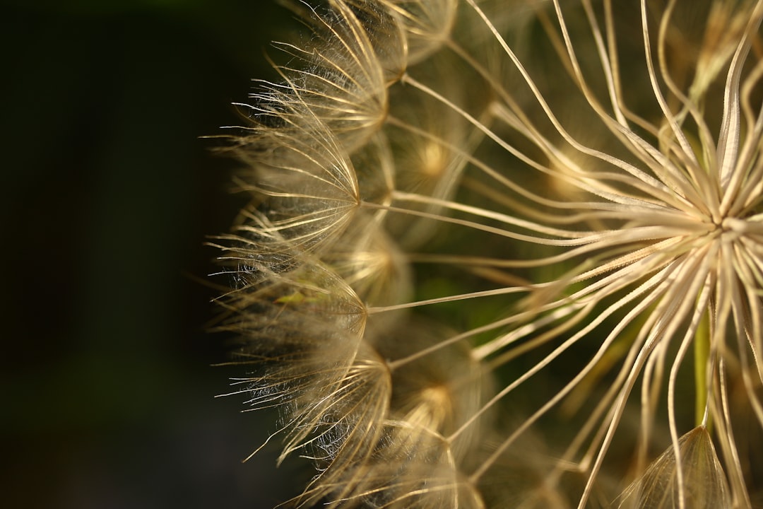 Photo allergia gyogyszer veny nelkul
