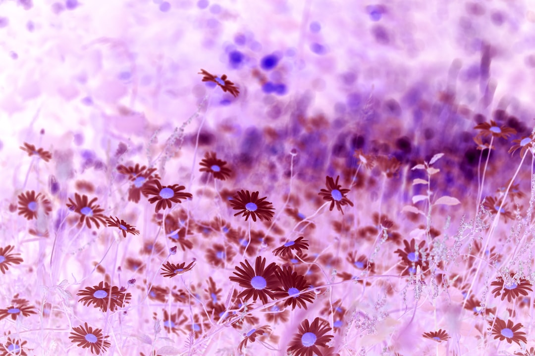 Photo allergy immunotherapy medication