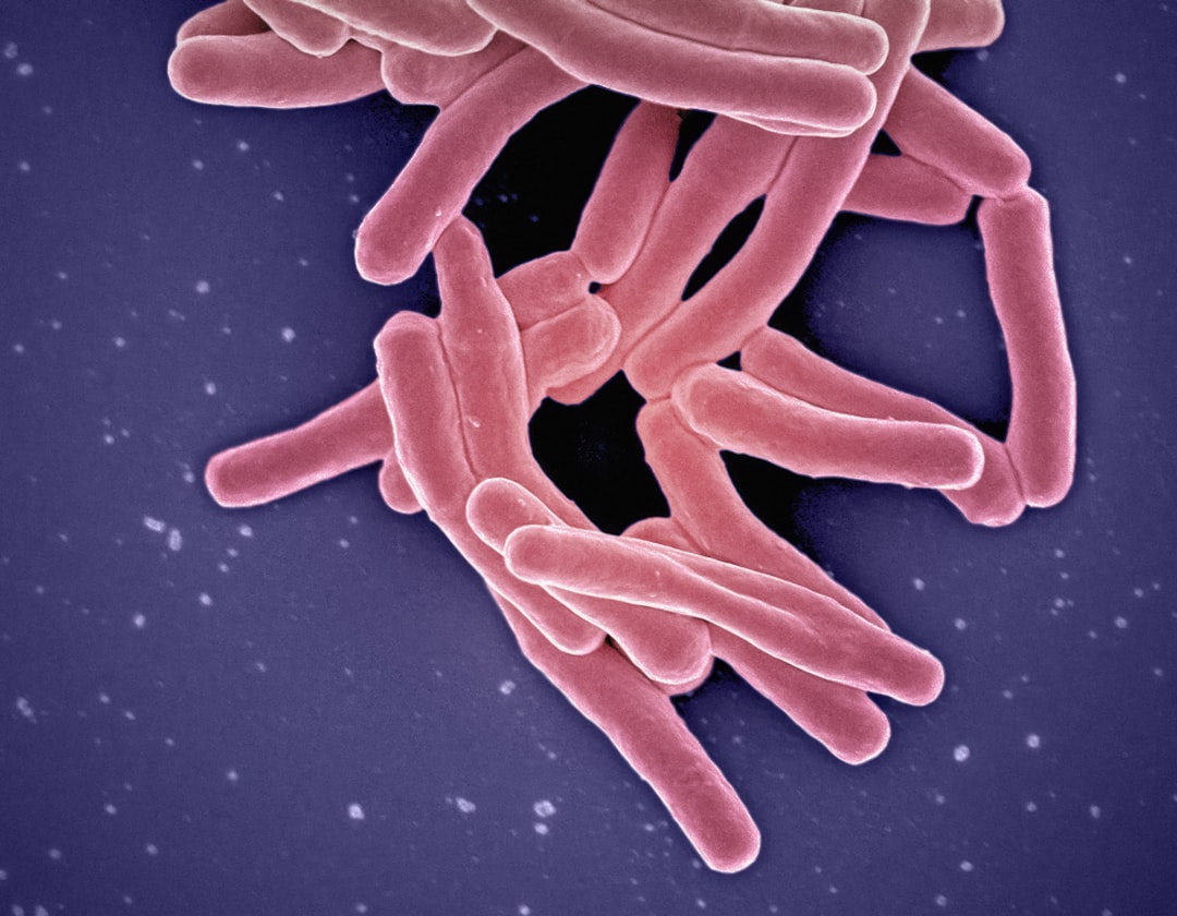 Photo antibiotic respiratory infection