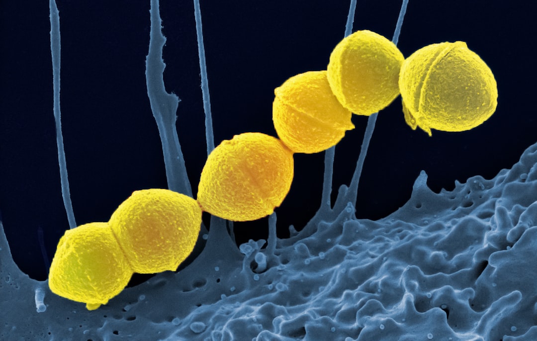 Antibiotikum gyerek – mikor és hogyan használjuk?