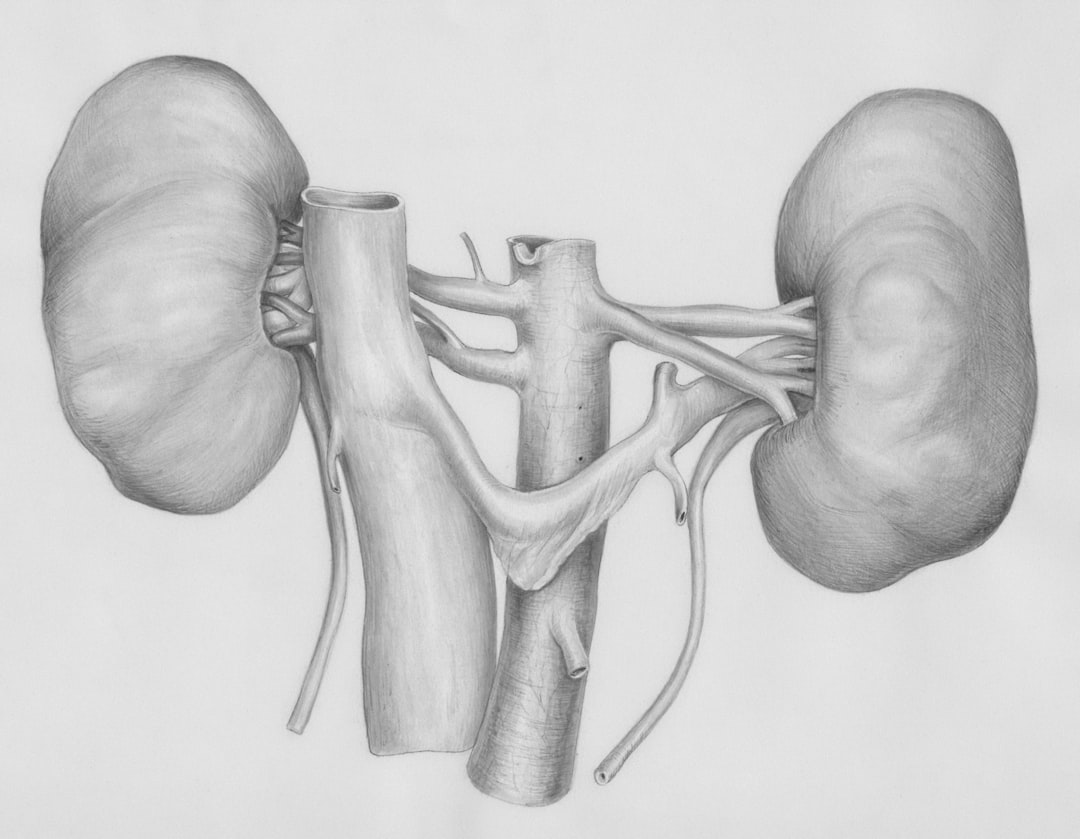 Photo kidney cancer treatment options