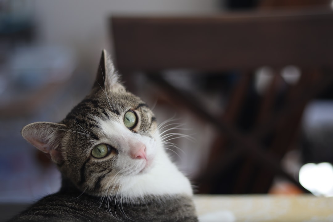 Photo skeptical shock