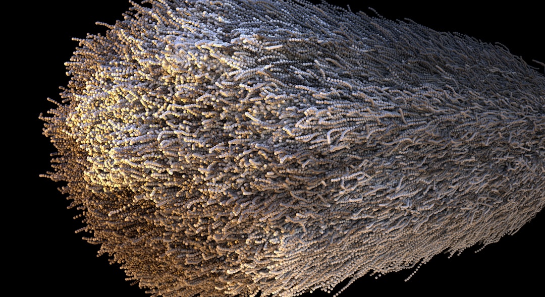 Photo collagen