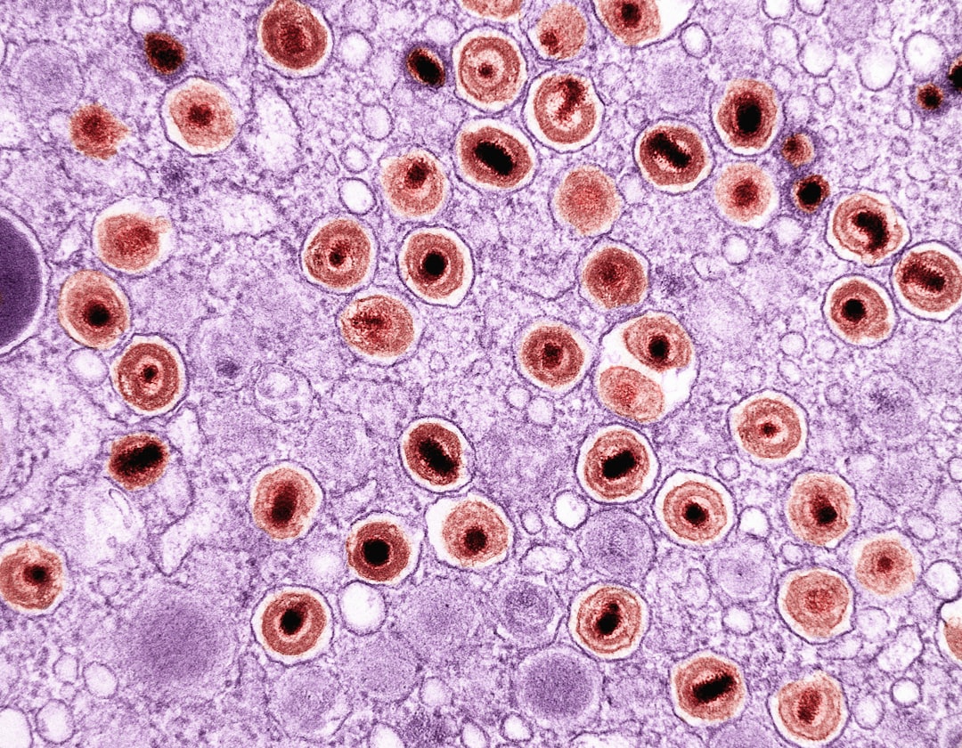 Photo immunerős&iacute;tő