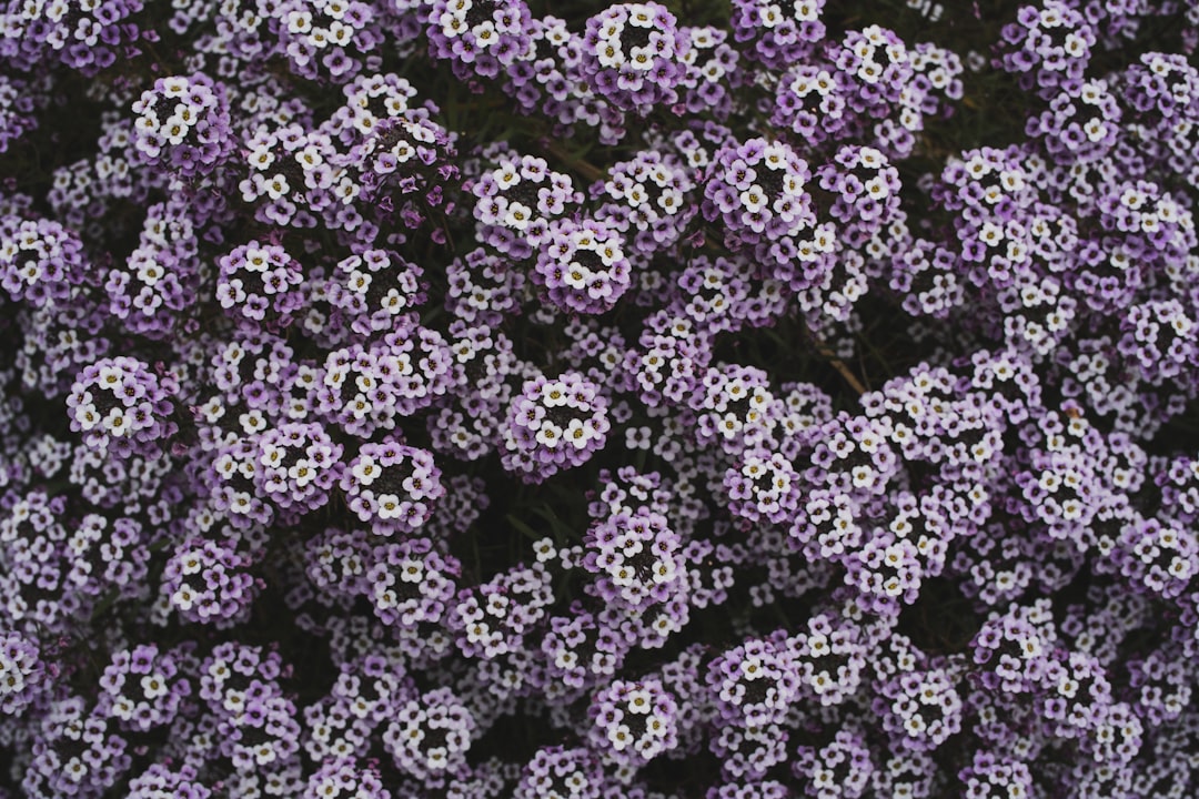 Photo bioco multivitamin