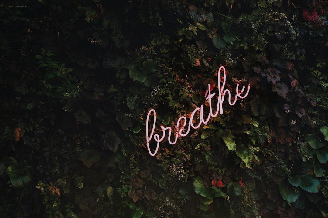 Photo stress relief