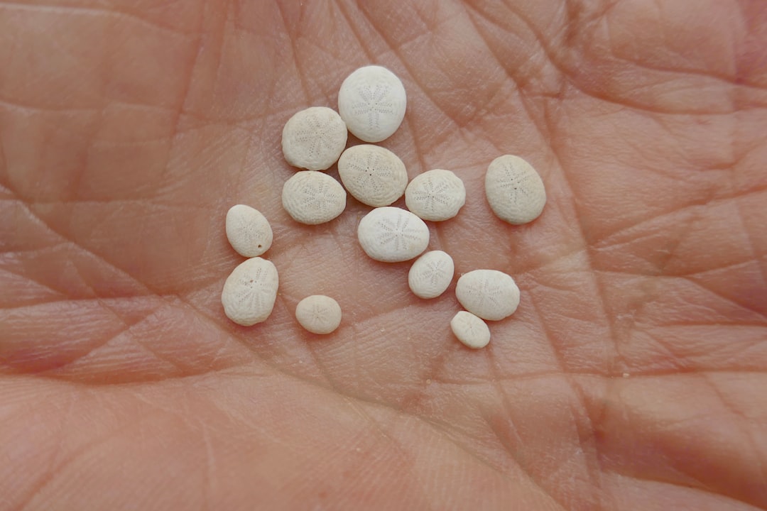 Photo minipill tabletta