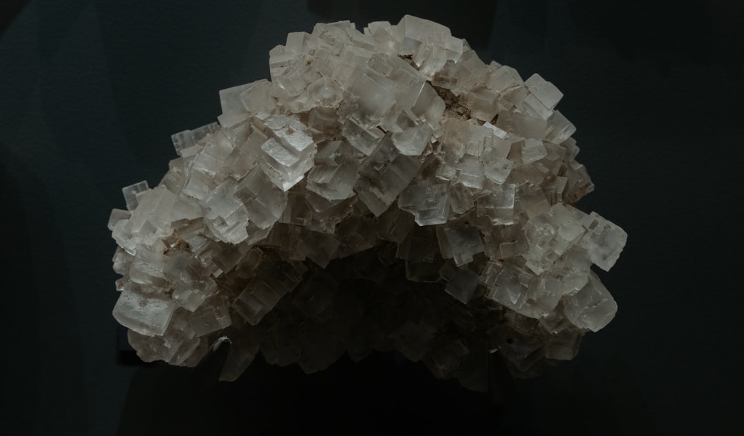 Photo gumivitamin