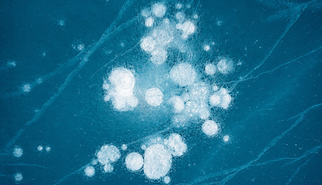 Photo immunerős&iacute;tő