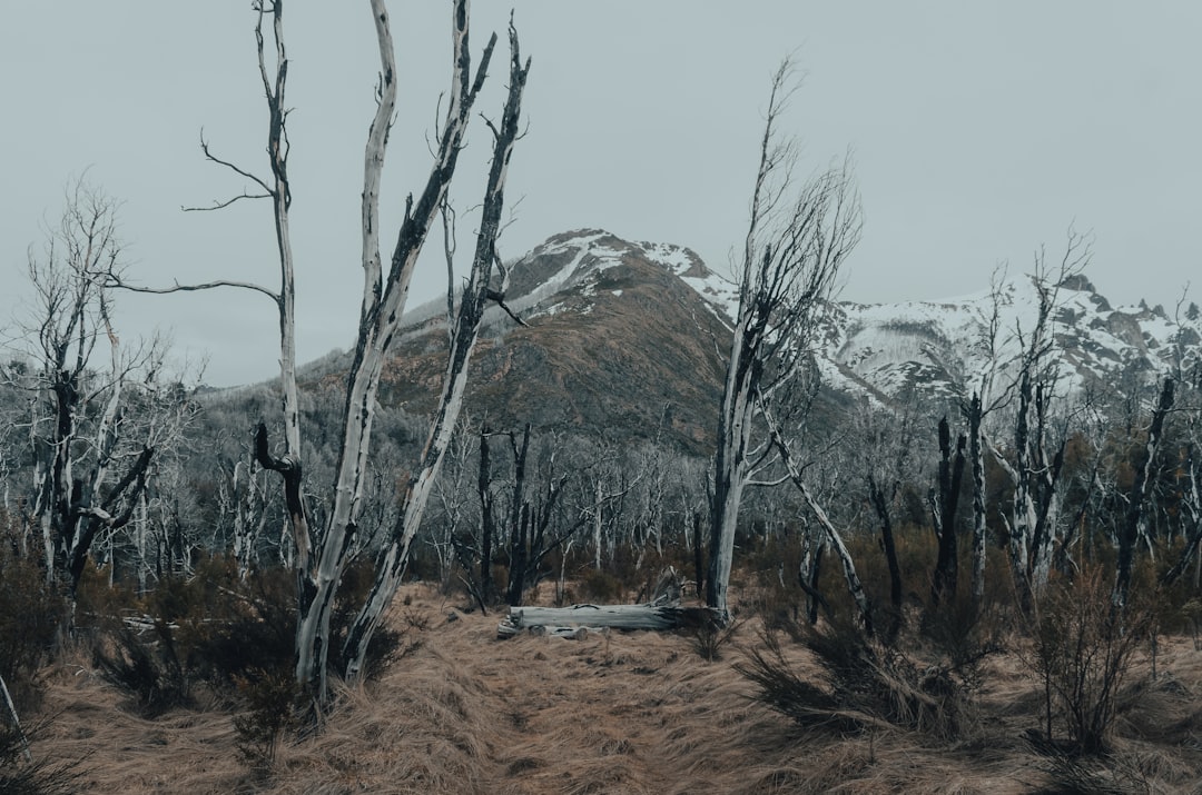 Photo vetèlès utàn