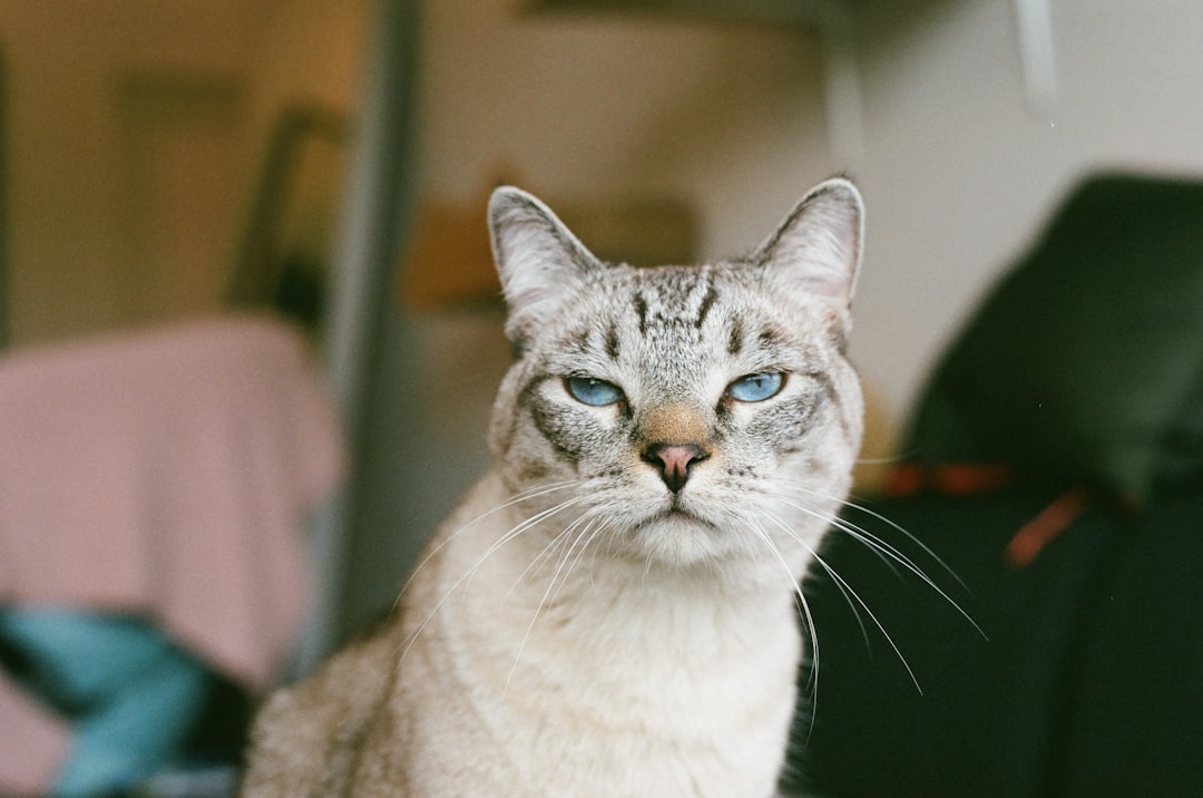 Photo skeptical patient