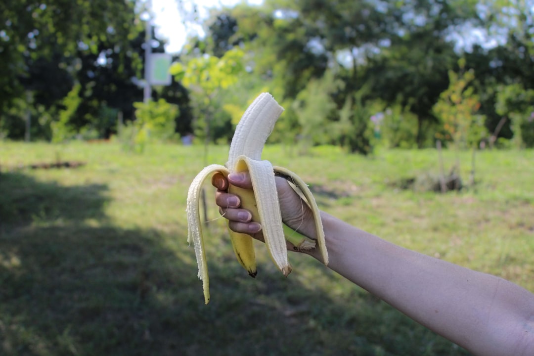 Photo spontaneous improvisation