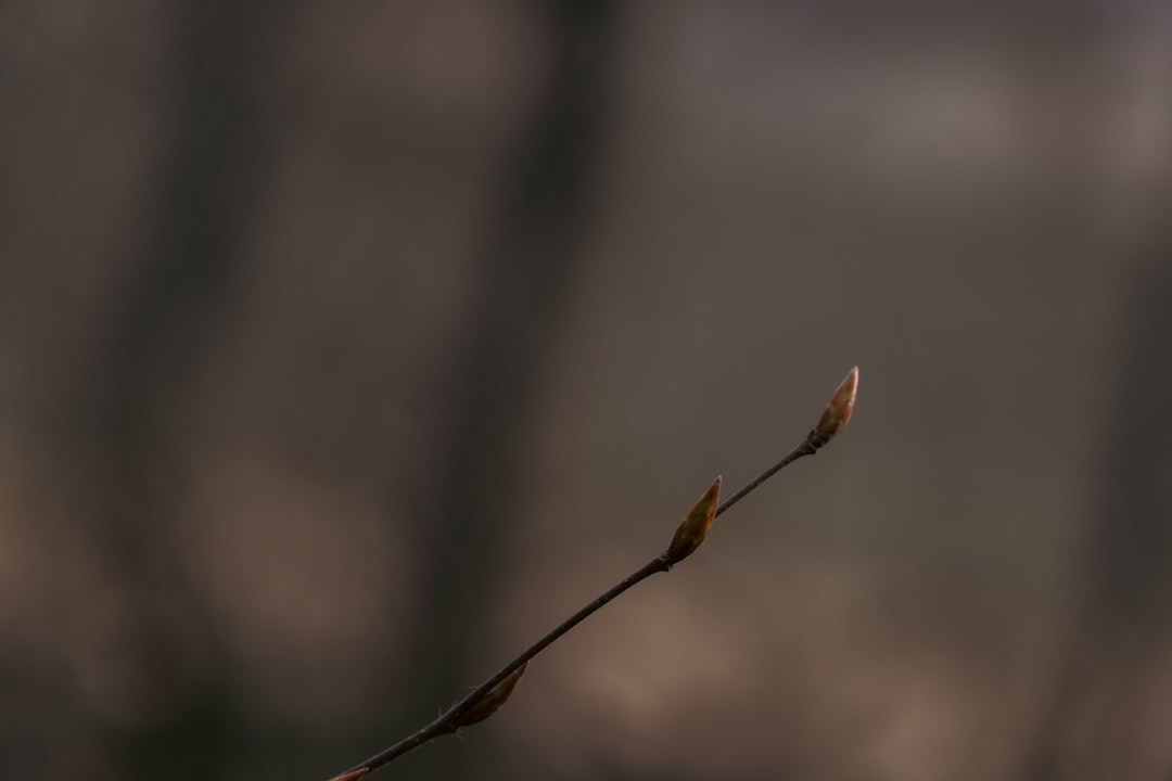 Photo vetélési görcsök