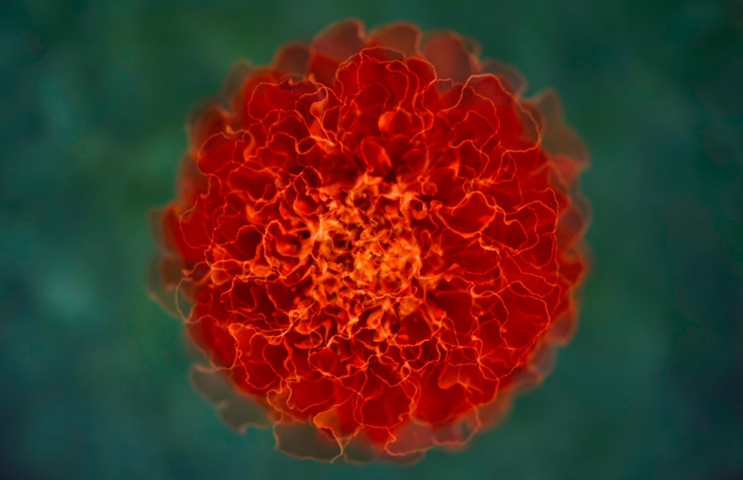 Wilms-tumor prevenciója: fontos tudnivalók és megelőző intézkedések