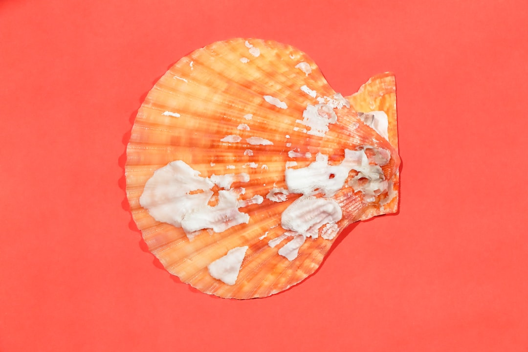 Photo fluimucil