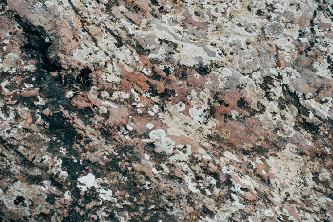 Photo terpentini köptető