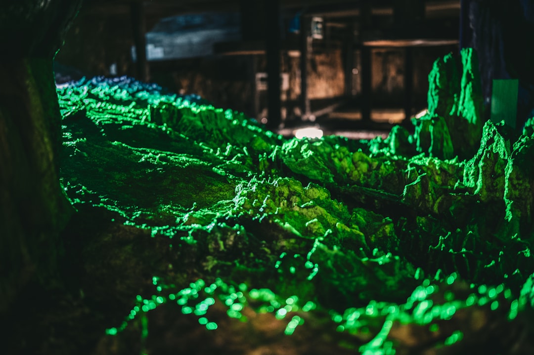 Photo verde torokfertőtlen&iacute;tő