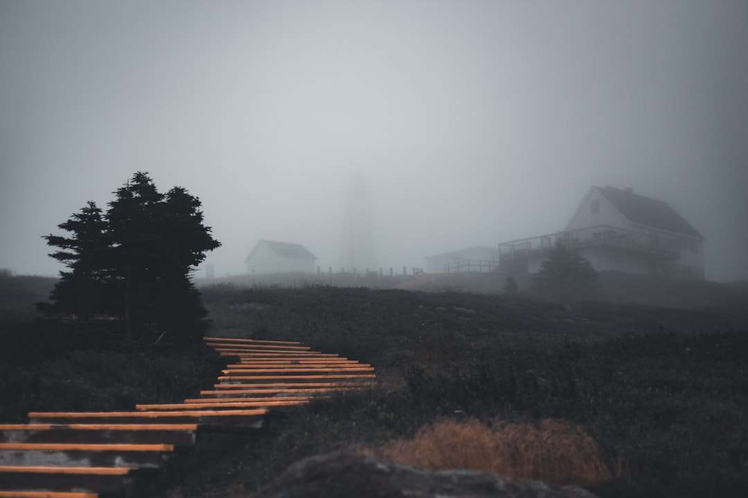 Photo gyenge altat&oacute;k