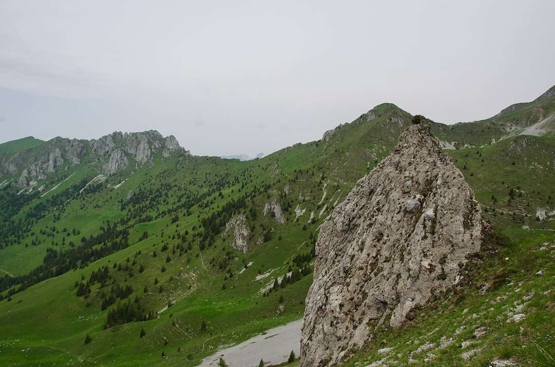 Photo altatok