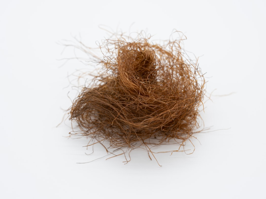 Photo hair loss vitamin
