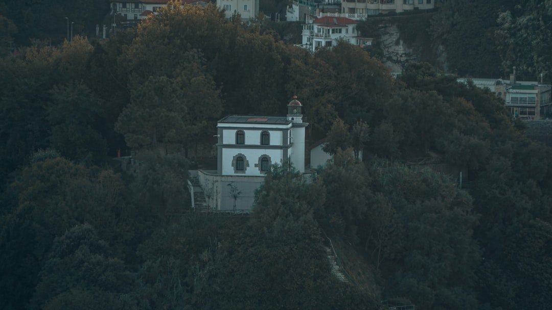 Afta ecsetelo: Hogyan kezeljük hatékonyan?