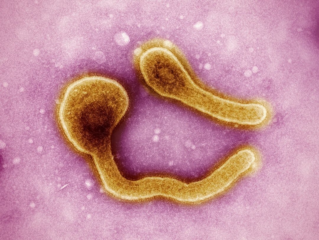 Photo stomach bacteria