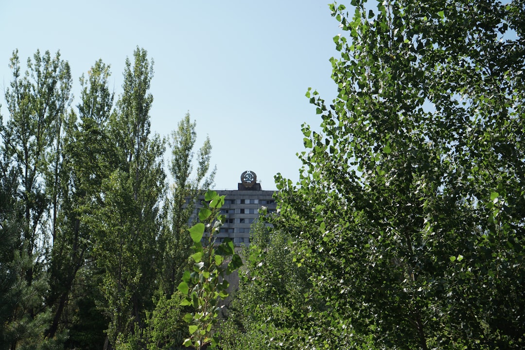 Photo gyomorsav