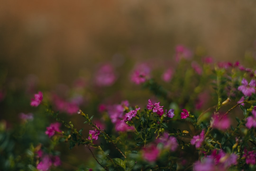 Photo reflux healing time