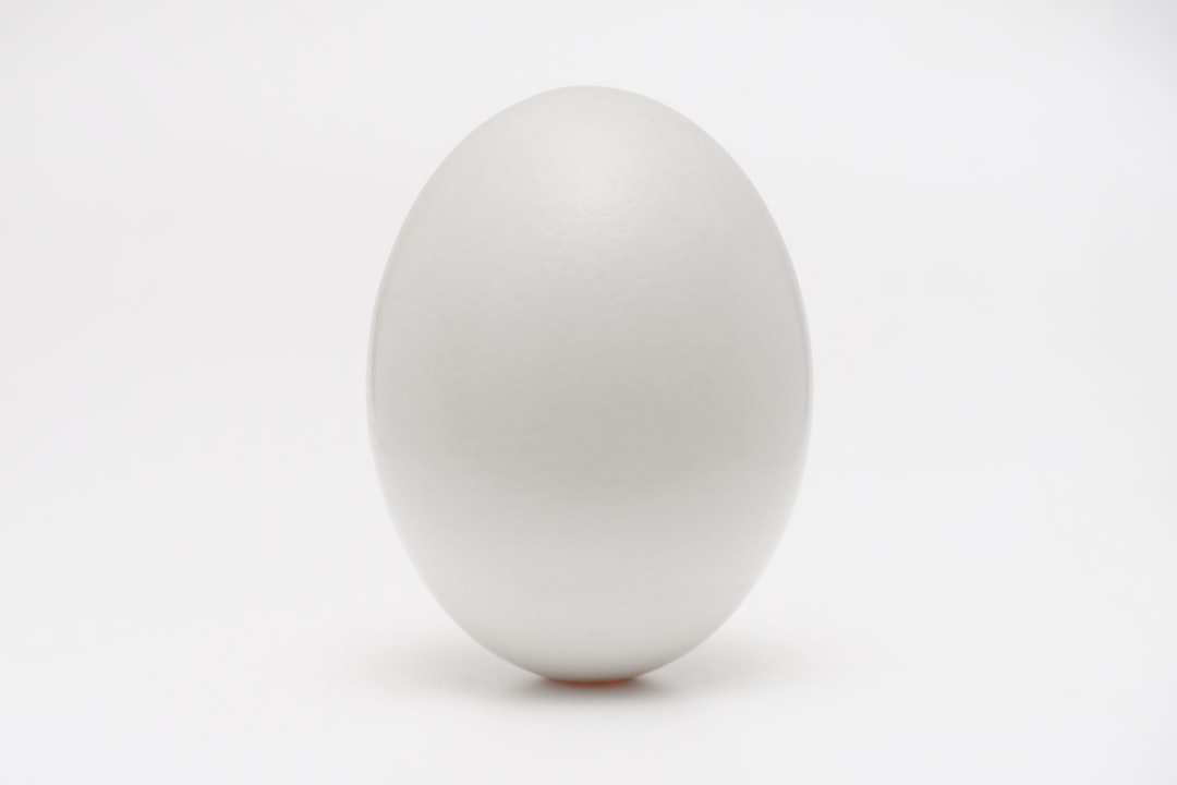 Photo reflux egg