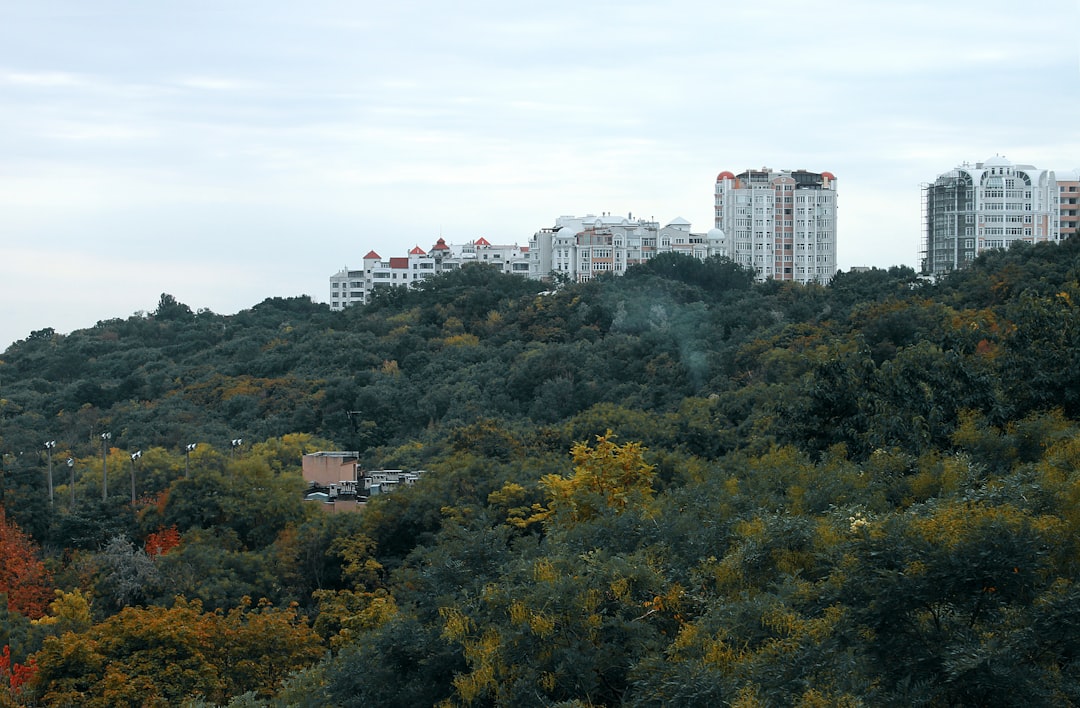 Photo gyomorsavra