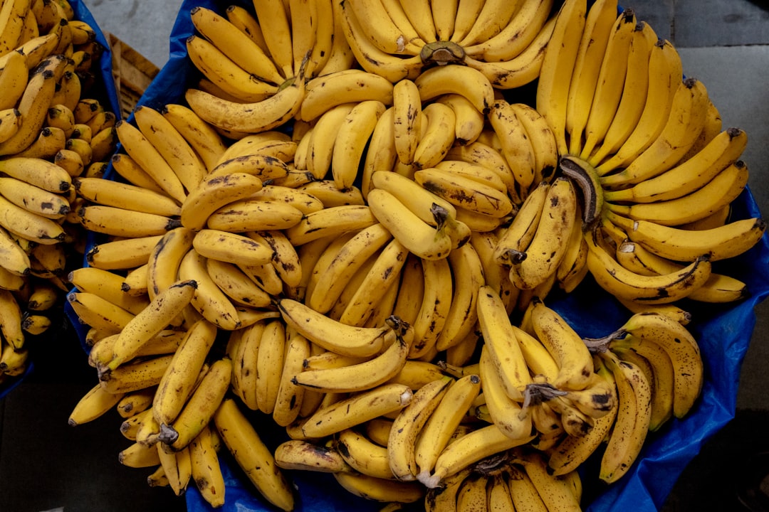 Photo gyomorsav ban&aacute;n