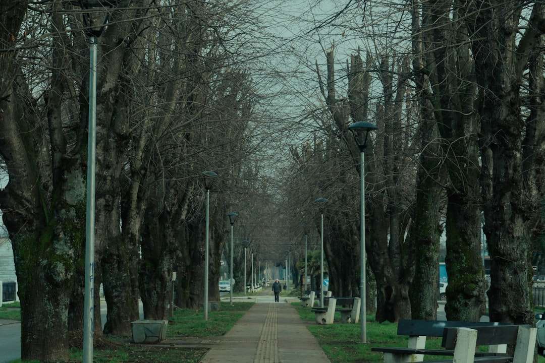 Photo gyomorsav