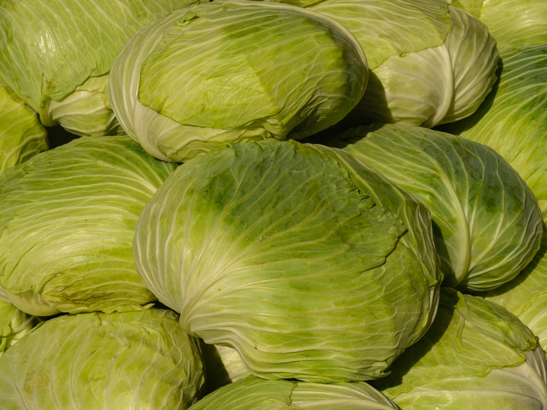 Photo reflux cabbage