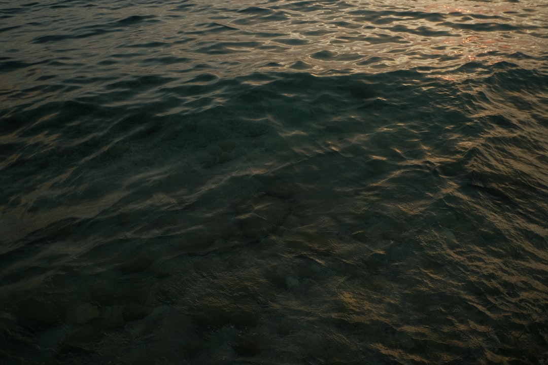 Photo reflux water
