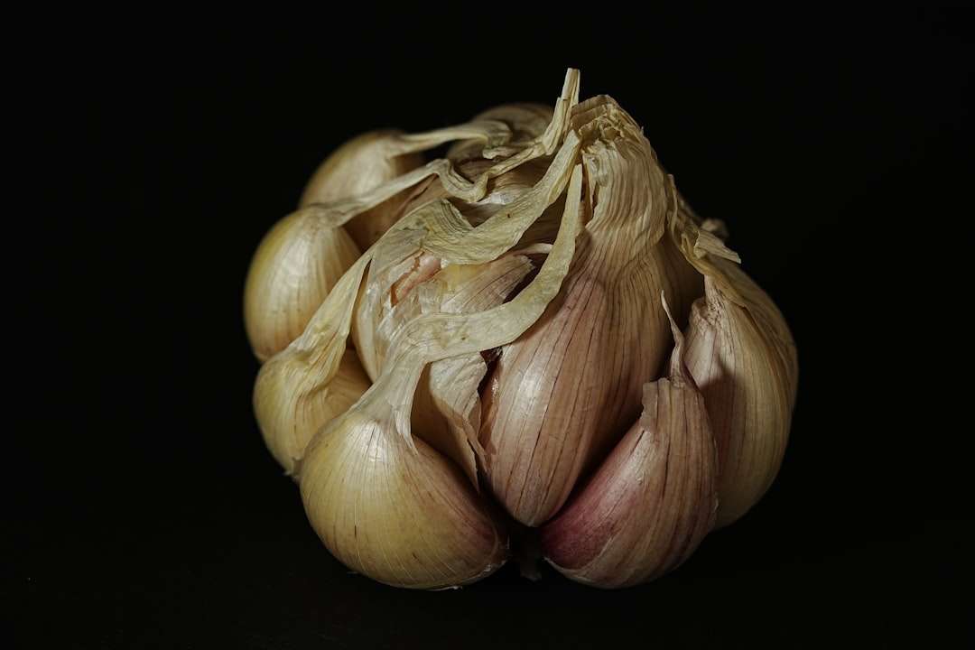 Photo reflux garlic