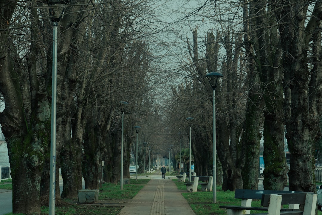 Photo gyomorsav